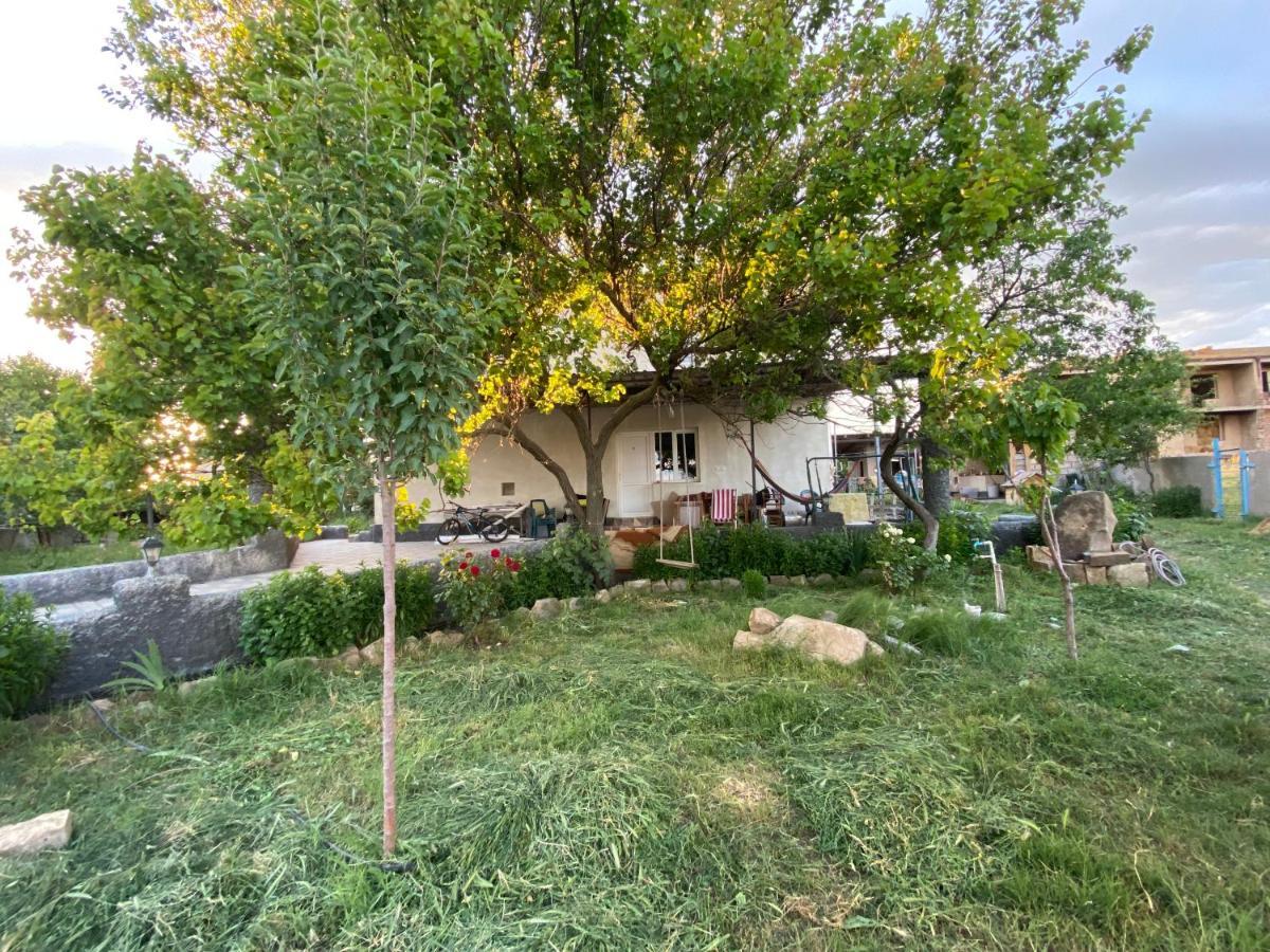 Mamuka'S Guesthouse Udabno 외부 사진