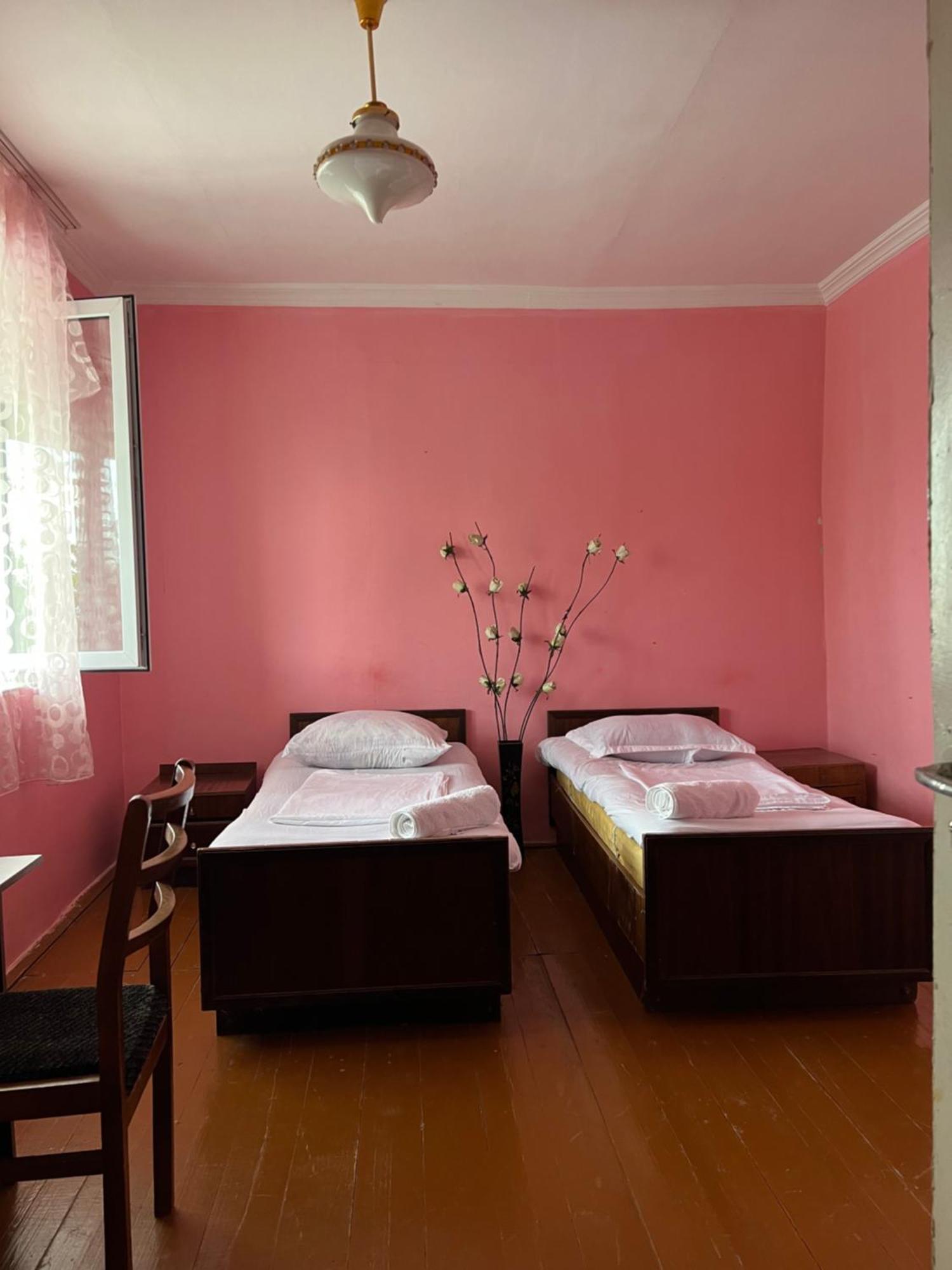 Mamuka'S Guesthouse Udabno 외부 사진