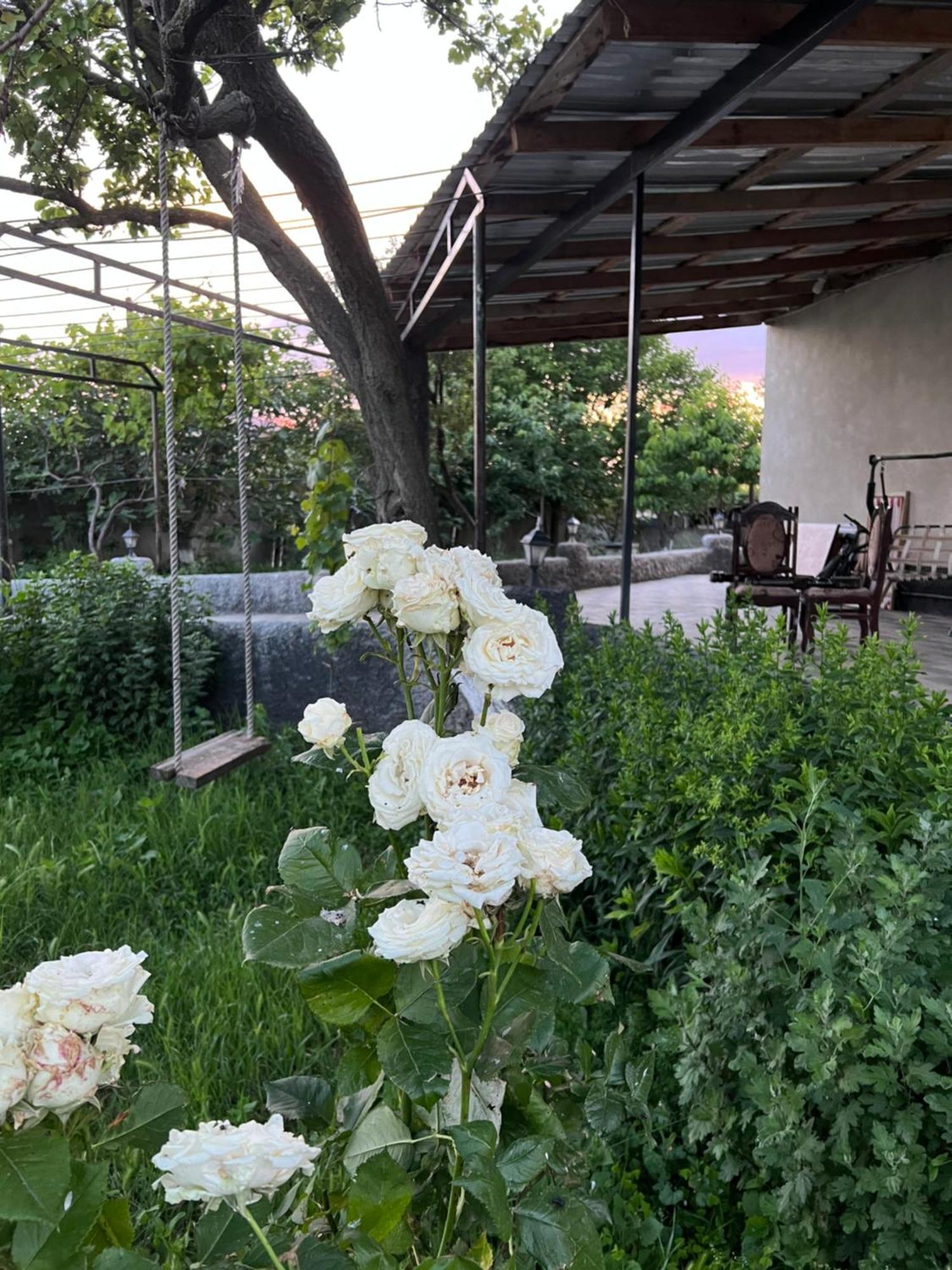 Mamuka'S Guesthouse Udabno 외부 사진